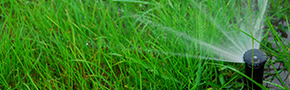 Irrigation system service